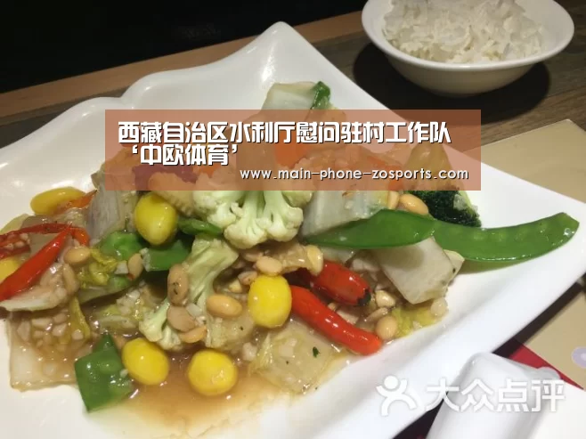 西藏自治区水利厅慰问驻村工作队‘中欧体育’(图2) 中欧体育