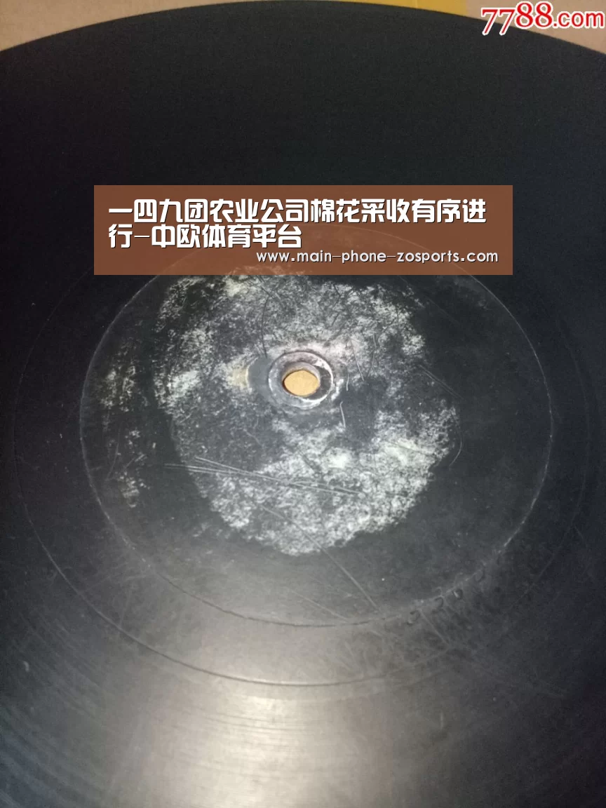 zoty体育