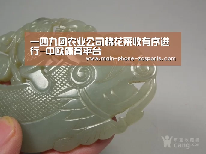 中欧体育平台