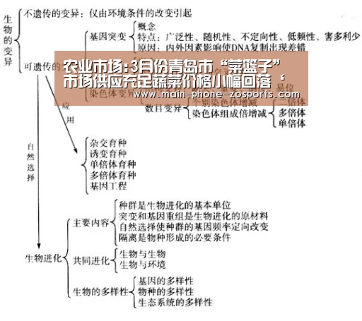 zoty体育