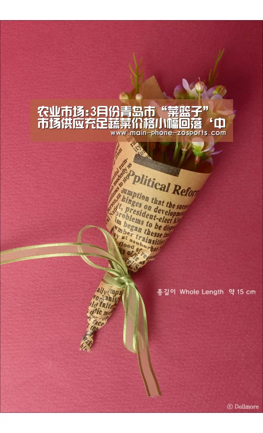 中欧体育官网