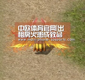 中欧体育平台